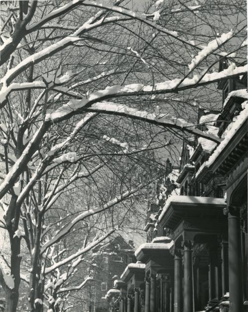 Trash Bins Covered in Snow, c. 1954