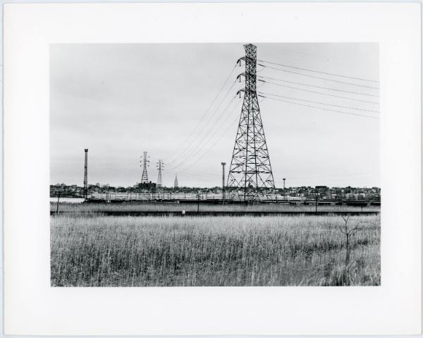 Untitled (from the Meadowland series), 1980