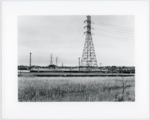 Untitled (from the Meadowland series), 1980