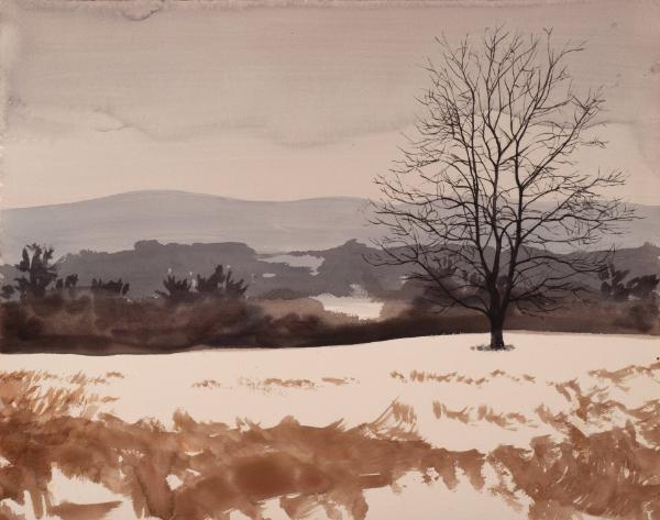 Winter Landscape