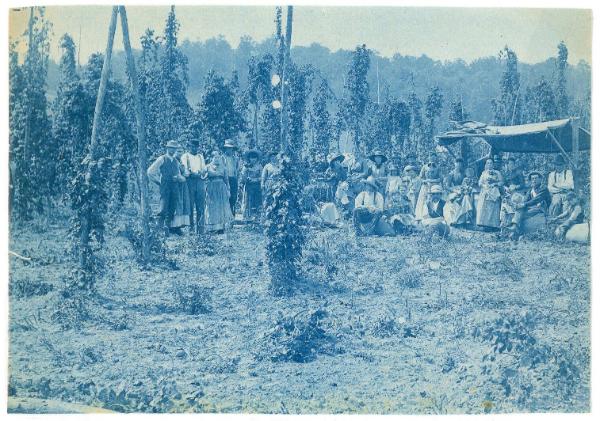 Hops Picking Group