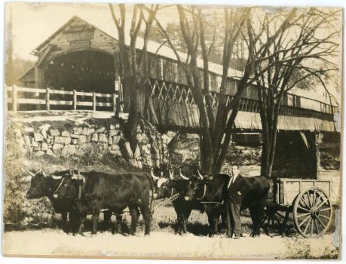 Man with Oxen Drawn Cart