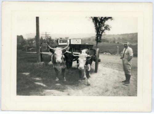 Man with Oxen Cart