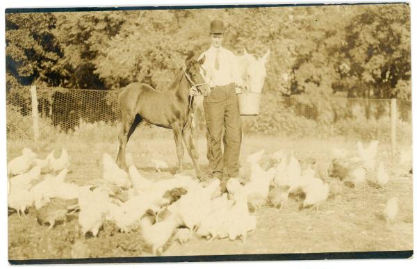 Man with Horses and Chickens