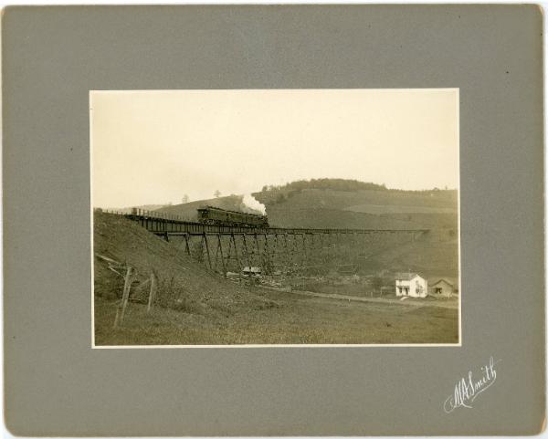 Elevated Train