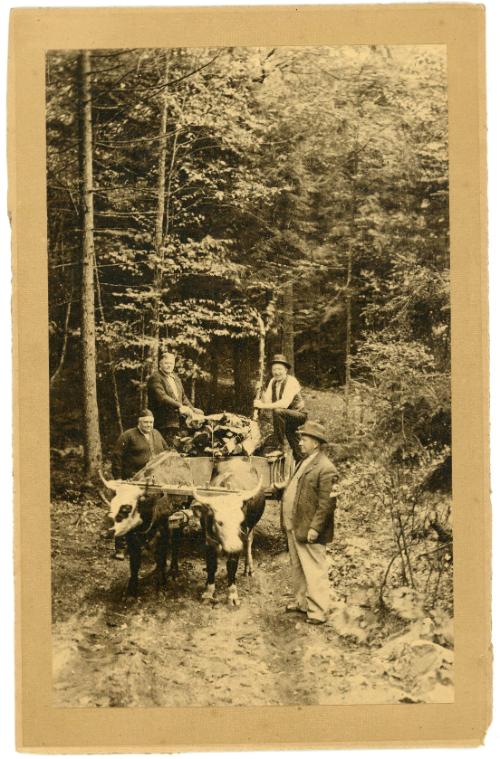 Four Men and Logs on an Oxen Drawn Cart