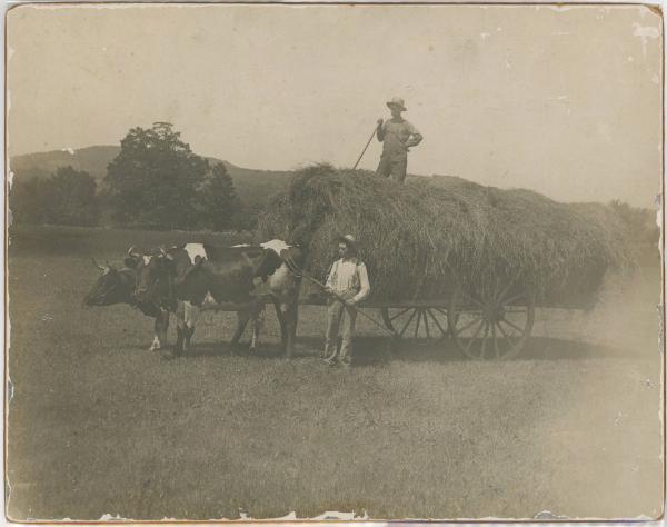 Hay Wagon