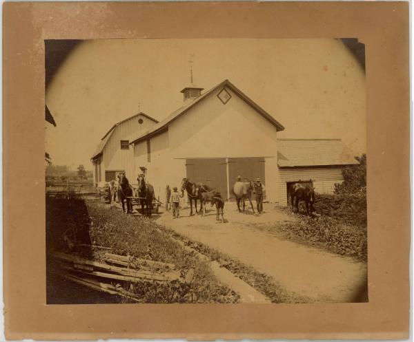 Barn & Horses