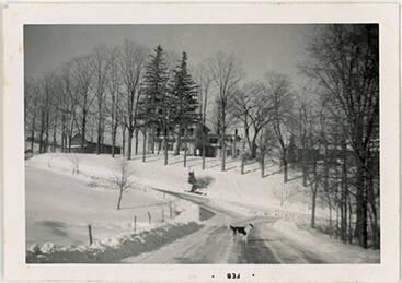 The Mower Farm in Winter