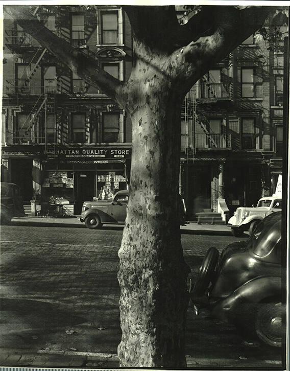 Amsterdam Ave, New York