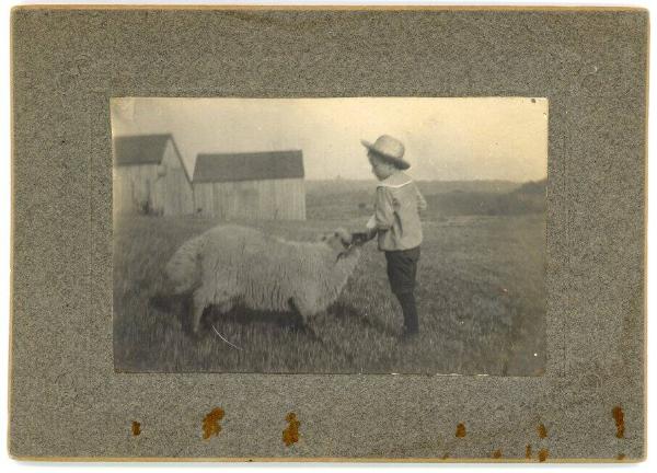 Boy and Sheep