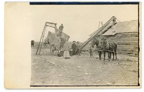 Cribbing the Corn