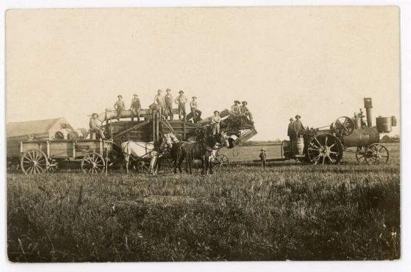 Ready for Threshing