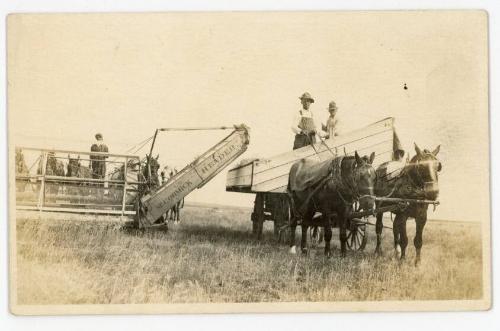 McCormick Header & "Barge" Wagon