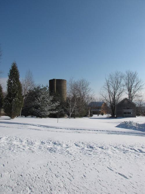 Silo 1: Clinton Street, Whitestown, NY