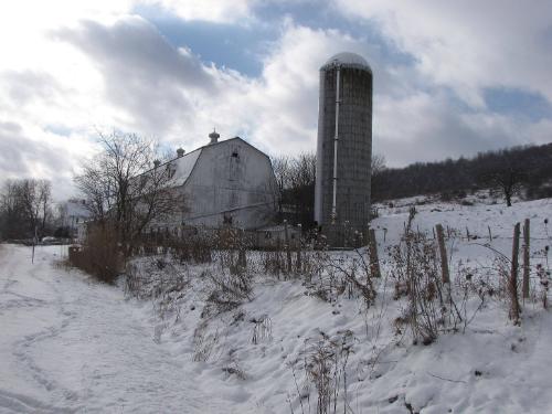 Silos 114-116: Route 8, Brookfield, NY