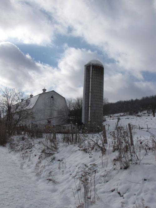 Silos 114-116: Route 8, Brookfield, NY