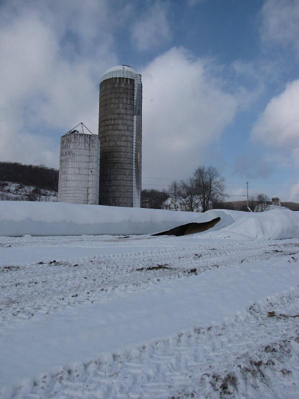 Silos 114-116: Route 8, Brookfield, NY