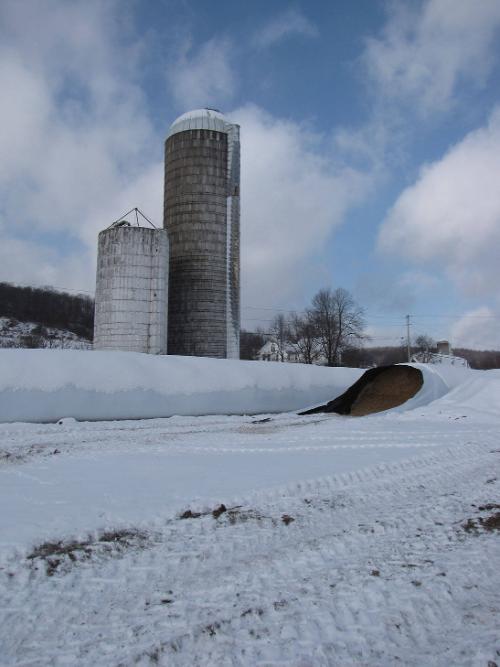 Silos 114-116: Route 8, Brookfield, NY