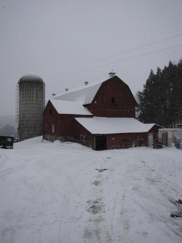 Silo 160: County Highway 18, Edmeston, NY