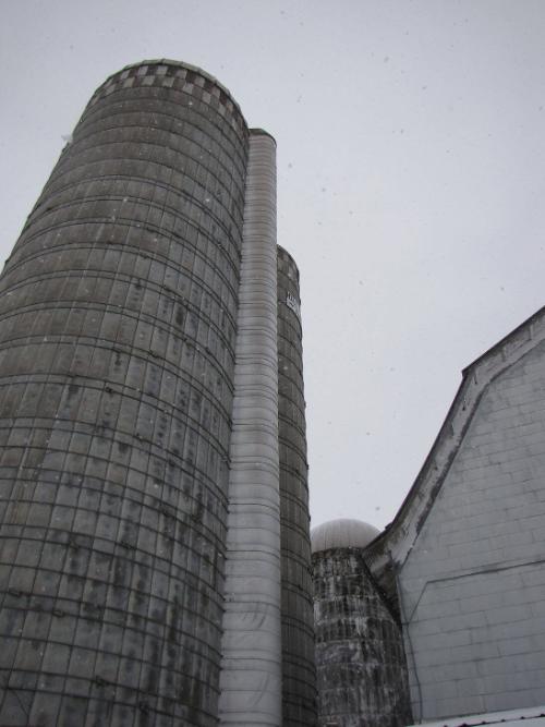 Silos 156-158: County Highway 18, Edmeston, NY