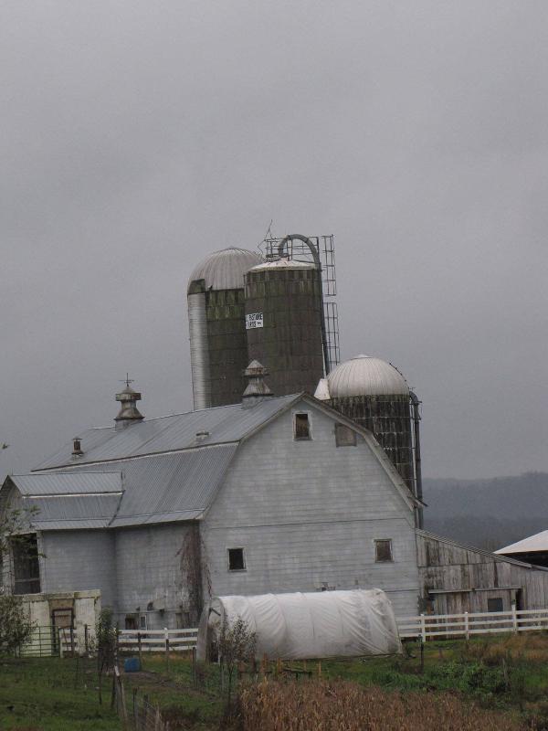 Silos 156-158: County Highway 18, Edmeston, NY