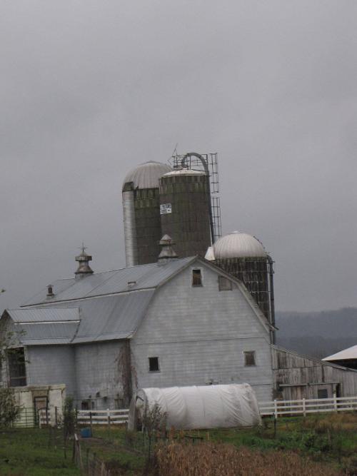 Silos 156-158: County Highway 18, Edmeston, NY