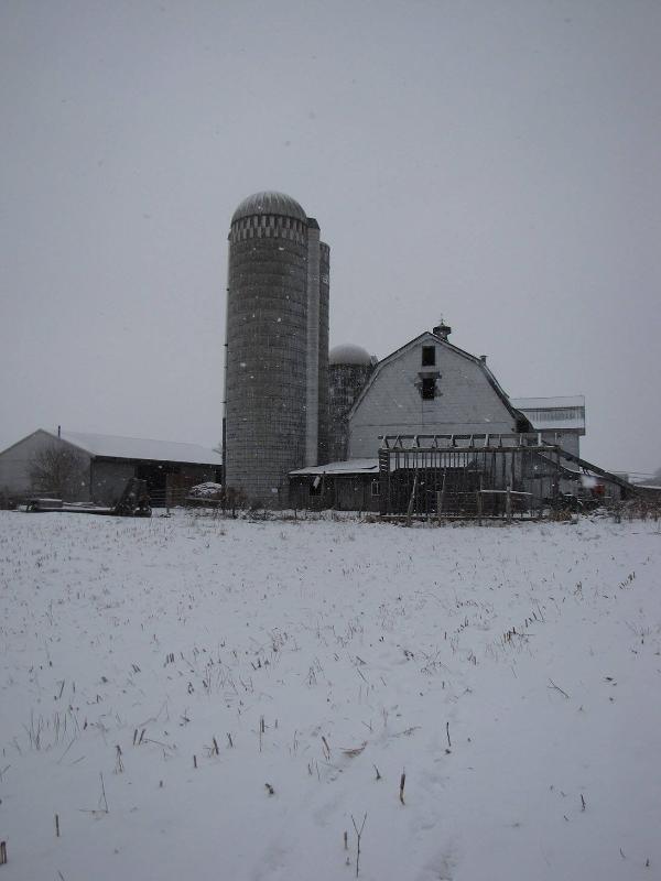 Silos 156-158: County Highway 18, Edmeston, NY