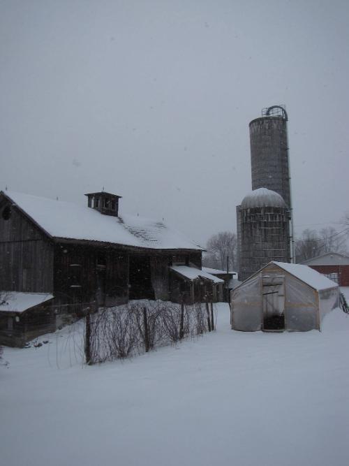 Silos 154 & 155: Academy Road, Brookfield, NY