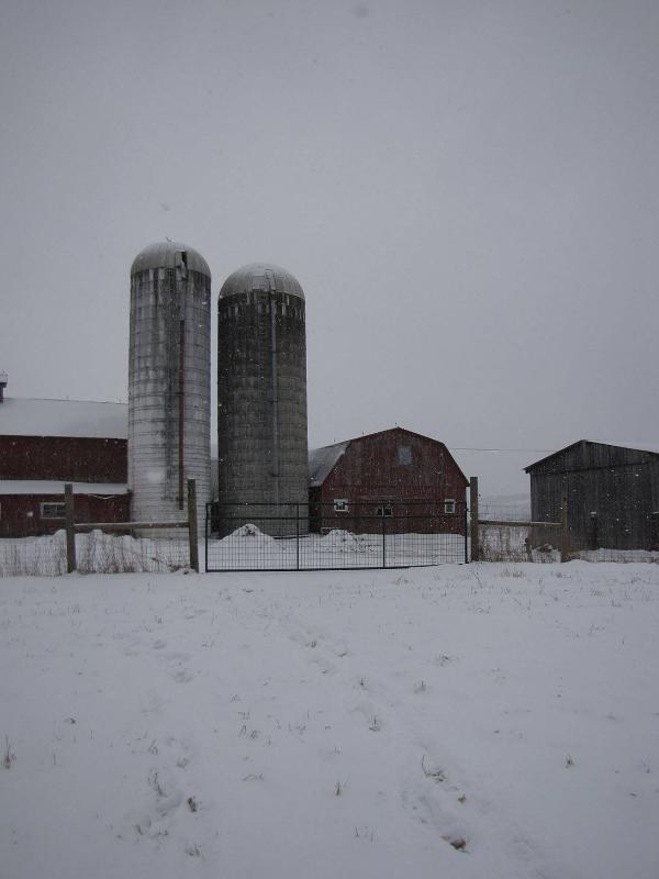 Silos 144 & 145: County Highway 18, Edmeston, NY