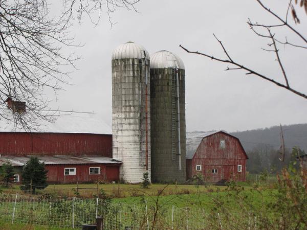 Silos 144 & 145: County Highway 18, Edmeston, NY