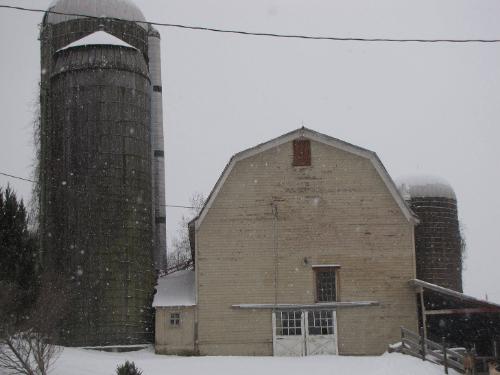 Silos 141-143: County Highway 18, Edmeston, NY