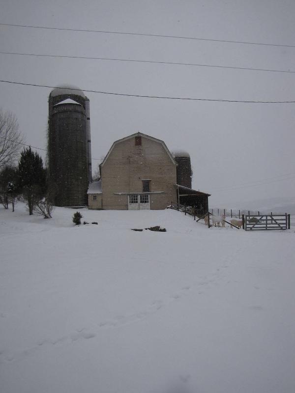 Silos 141-143: County Highway 18, Edmeston, NY