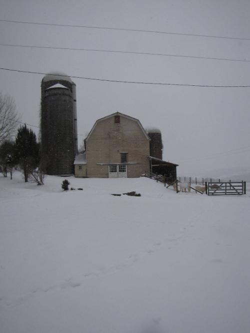 Silos 141-143: County Highway 18, Edmeston, NY
