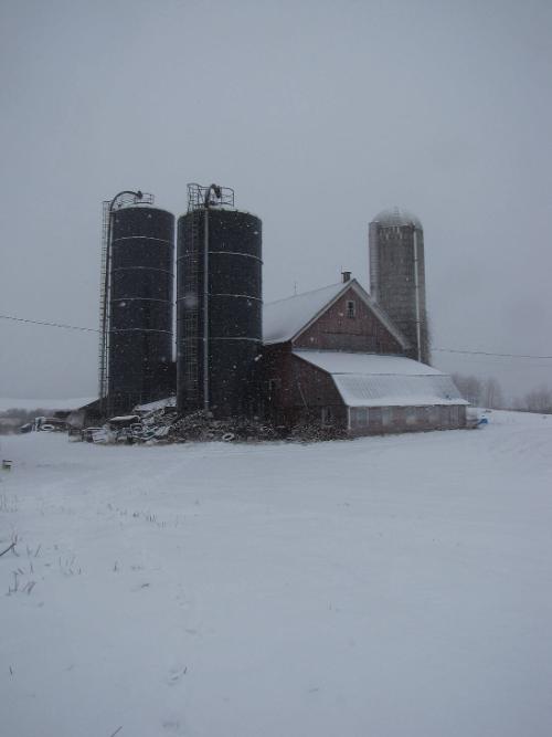 Silos 134-136: Route 8, Brookfield, NY