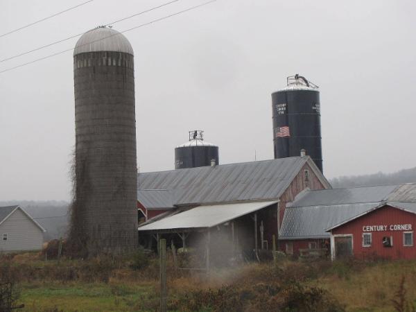 Silos 134-136: Route 8, Brookfield, NY