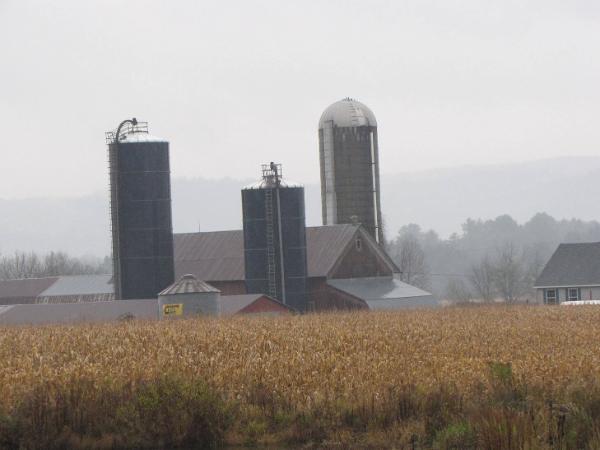 Silos 134-136: Route 8, Brookfield, NY