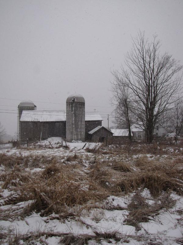 Silos 120 & 121: Perkins Road, Plainfield, NY