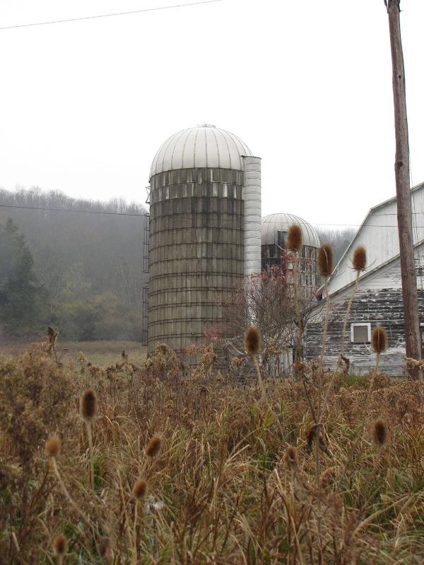 Silos 118 & 119: Route 8, Brookfield, NY