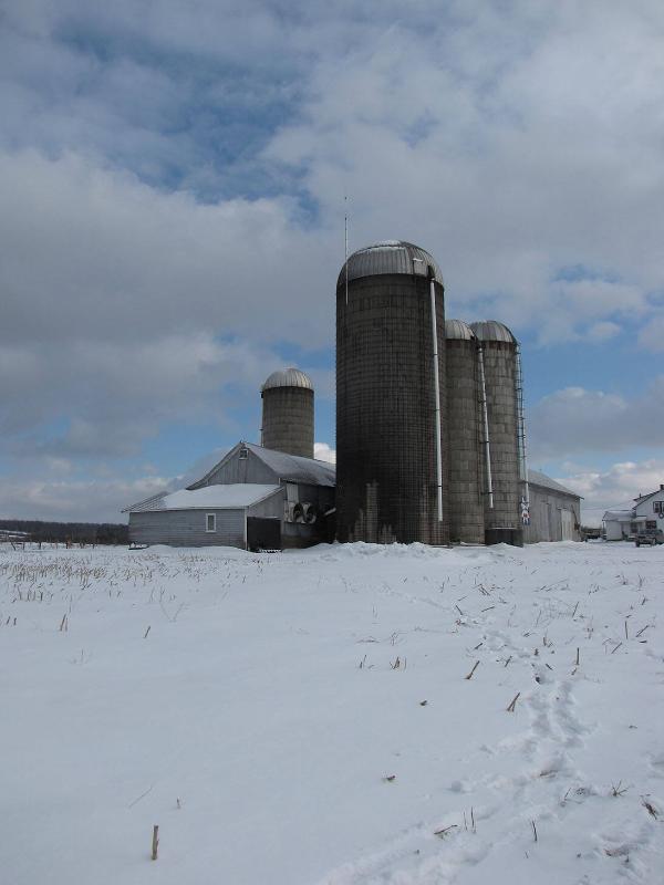 Silos 14-17: Mallory Road, New Hartford, NY