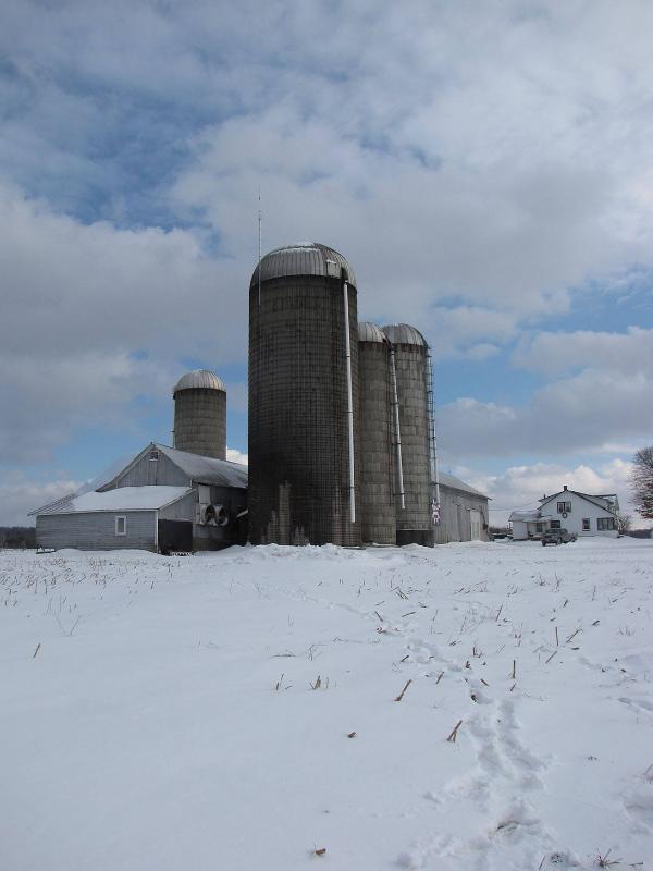 Silos 14-17: Mallory Road, New Hartford, NY