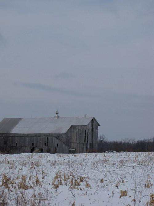 Silo 20: Mallory Road, New Hartford, NY
