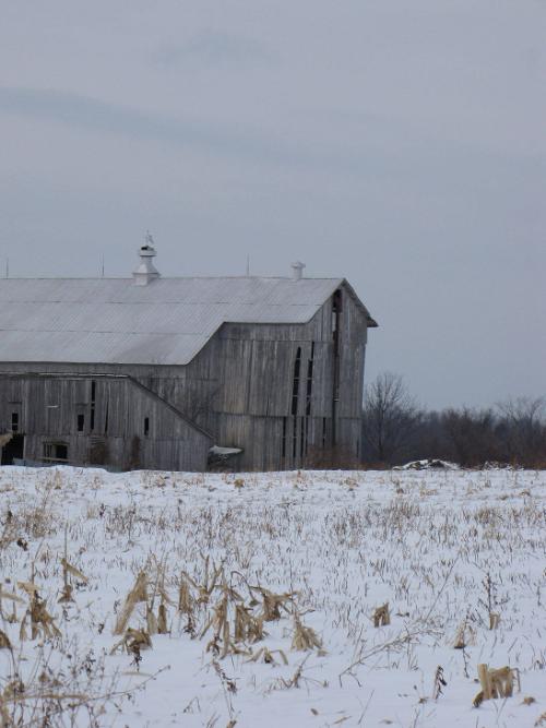 Silo 20: Mallory Road, New Hartford, NY