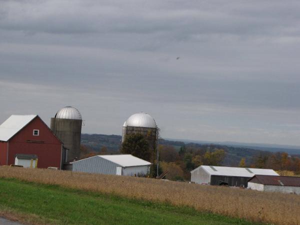 Silos 35 & 36: Campbell Road, Paris, NY