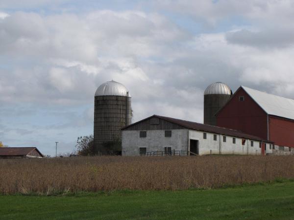 Silos 35 & 36: Campbell Road, Paris, NY