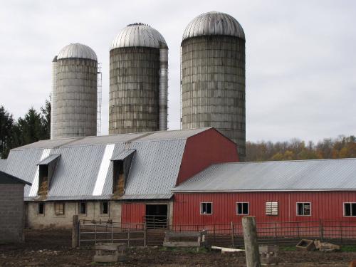 Silos 52-54: Reservoir Road, Paris, NY