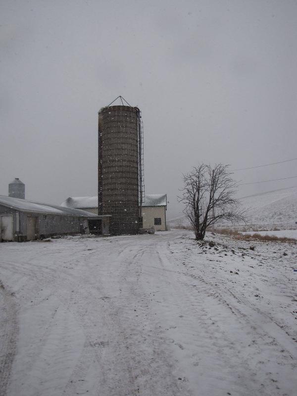 Silo 66: Canning Factory Road, Paris, NY