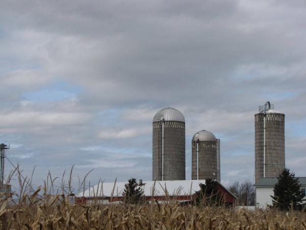 Silos 69-71: Marshall Road, Paris, NY