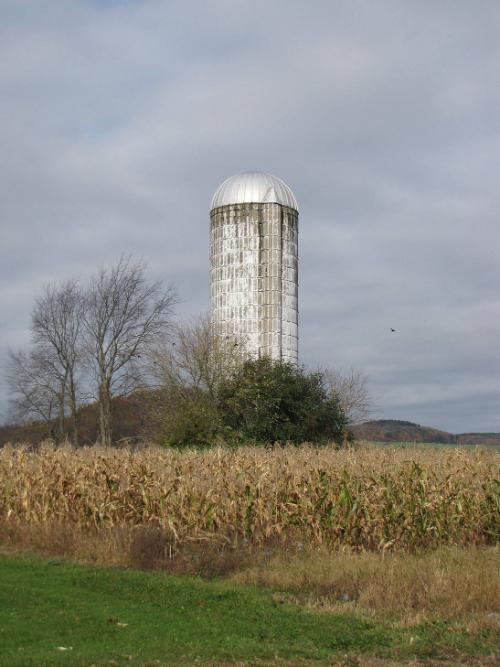 Silo 81: NY Route 8N, Bridgewater, NY