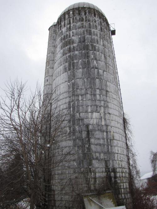 Silo 81: NY Route 8N, Bridgewater, NY